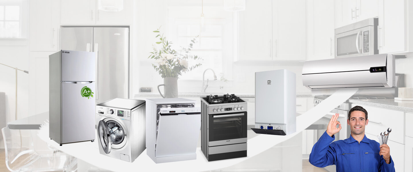 Ağlı Electrolux Servisi